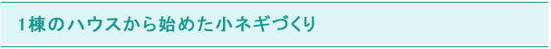 1棟のハウスから始めた小ネギづくり